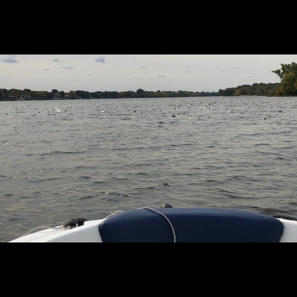 Meet your Posher, Rita - Picture 1 of 1